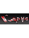 Kit de decoración de Edición Limitada IDgrafix - IDgrafix - Yamaha YFZ 450 / YFZ 450R
