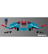 Kit deco Factory Edition - CF MOTO MT 800