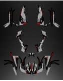 Kit decoration Full Wasp (Grey) - IDgrafix - Can Am series The Outlander