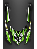 Kit decoration Green LTD Light for Kawasaki Ultra 250/2620/300/310R