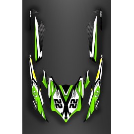 Kit decoration Green LTD Light for Kawasaki Ultra 250/2620/300/310R