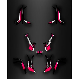 Kit decoration Light Wasp (Pink) - IDgrafix - Can Am series The Outlander
