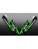 Kit decoration 100% Custom DC for Kawasaki SXR 800