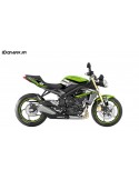 Kit-deco-Persönlich für Triumph Speed triple (grün)