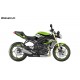 Kit-deco-Persönlich für Triumph Speed triple (grün)-idgrafix