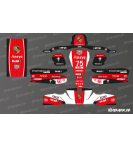 Kit gràfic Porsche Le Mans Edition per a carenat de kart Sodi KG 506 - Idgrafix