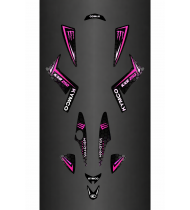 copy of Kit Deco Custom Monster (Green) - Kymco 250 Maxxer