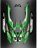 Kit decoration Green LTD Full for Kawasaki Ultra 250/260/300/310R