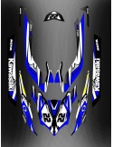 Kit decoration Blue LTD Full for Kawasaki Ultra 250/260/300/310R