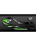 Kit décoration Monster Light for Kawasaki Ultra 250/260/300/310R